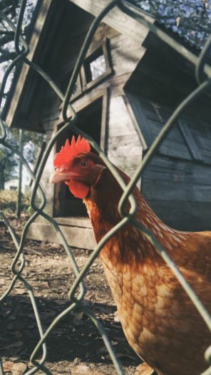 Processed with VSCOcam with a7 preset